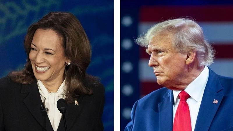 Georgia poll shows Republican unity; candidates statistically tied