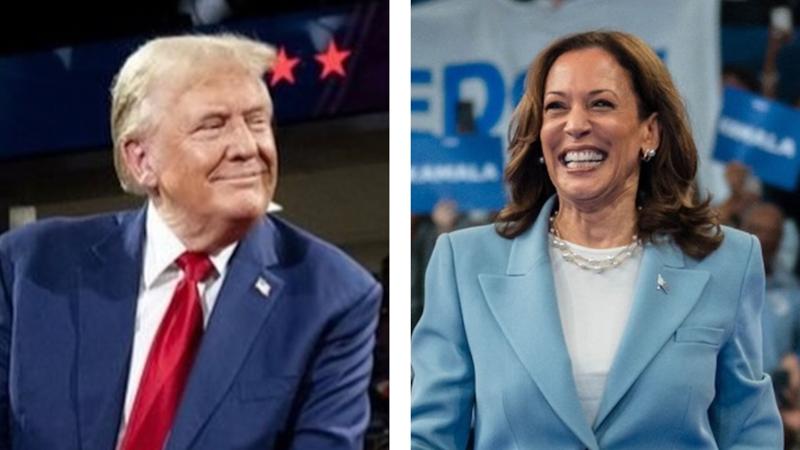 Poll: Trump and Harris neck-and-neck in swing sate Nevada