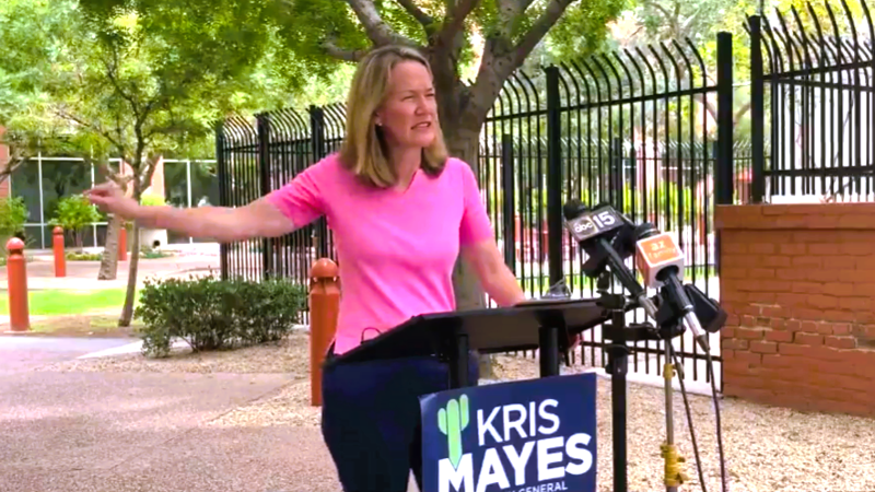 Cochise county supervisor pleads guilty to 2022 election interference