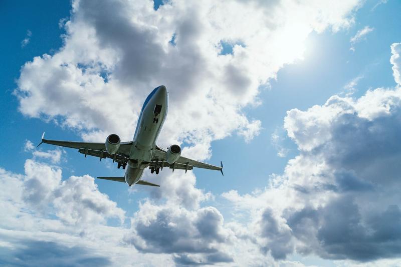 Bombshell report: High risk noncitizens without IDs flying across U.S.