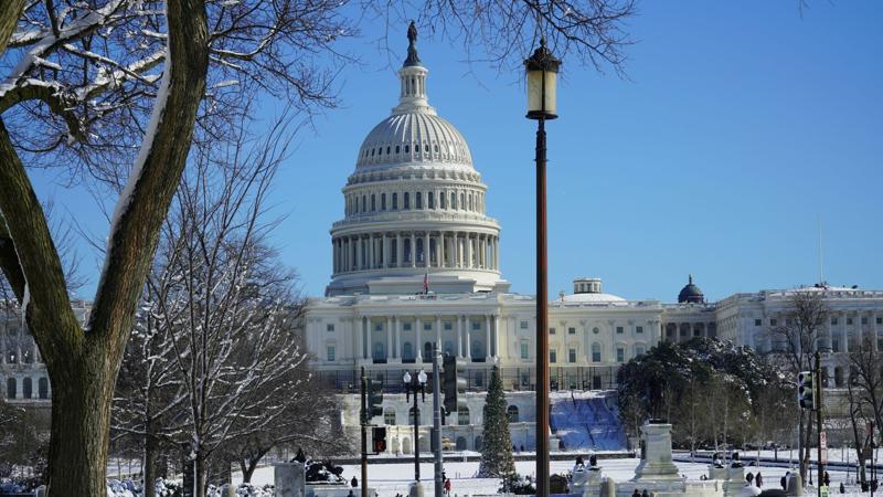 U.S. Senate passes budget framework after series of overnight votes