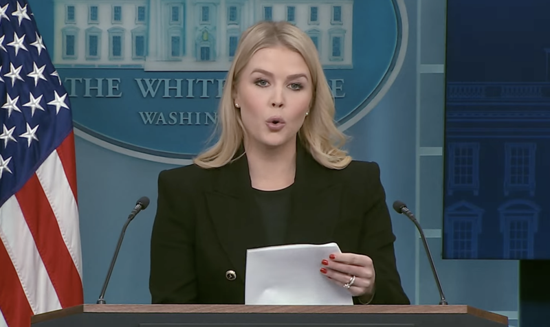WATCH: White House praises DOGE for government efficiency