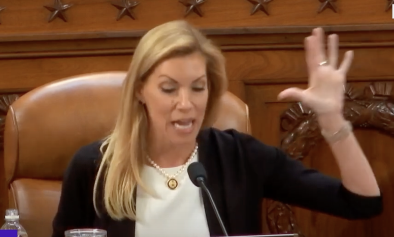 WATCH: Rep. Beth Van Duyne explains IRS failures, calls for accountability