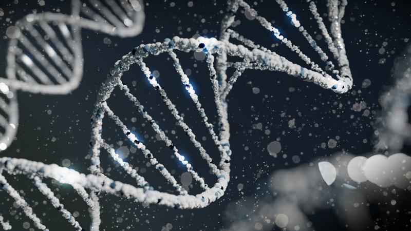 23andMe files for bankruptcy, CEO and cofounder steps down