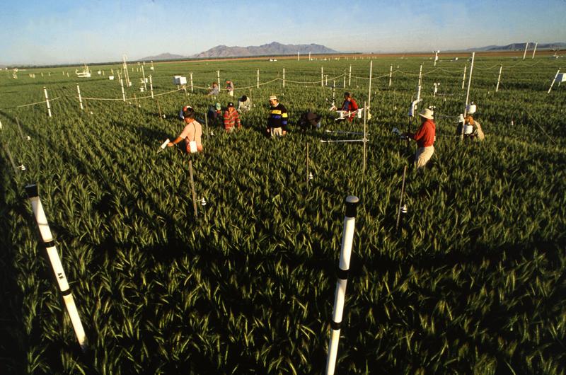 USDA paid to study queer farmers, Latinx masculinity, more on taxpayer dime