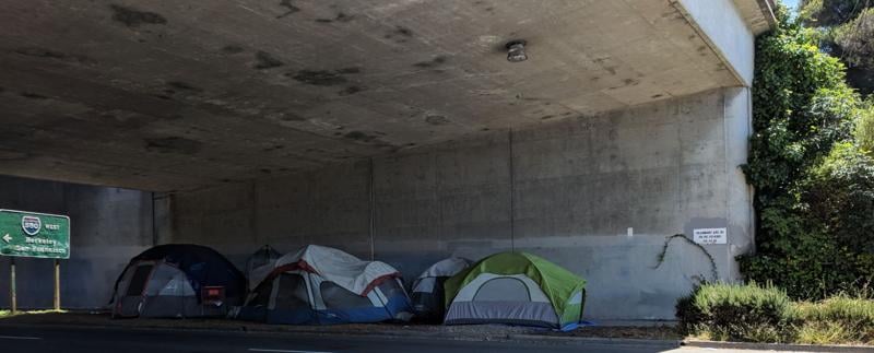 Los Angeles’ homelessness mega-agency defunded, CEO resigns after failed audits