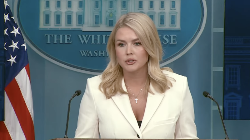 WATCH: White House says defaulted student loan borrowers must find a way to pay