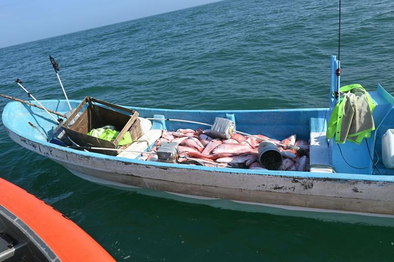 Illegal fishing: Cartels expand criminal activity beyond drug, human smuggling