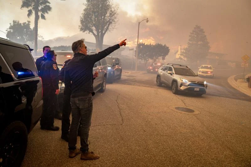 CA data: just one Palisades brush clearance before fire