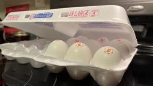 Trump touts June jobs report, lower gas, egg prices