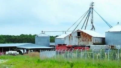 USDA: 45M acres of American land owned by foreign entities