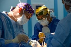 House committee holds hearing on organ transplant issues, reforms