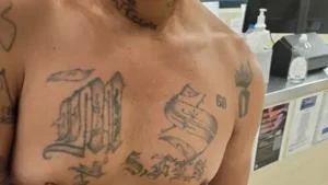 From Maine to Texas, federal agents continue to arrest MS-13 gang members