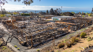 Florida, Wisconsin senators investigate CA’s Palisades Fire