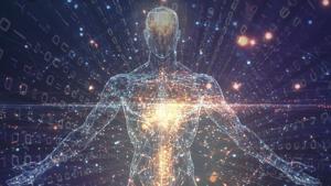 Elon poll: Impact by AI on 12 core human capacities worsens by 2035